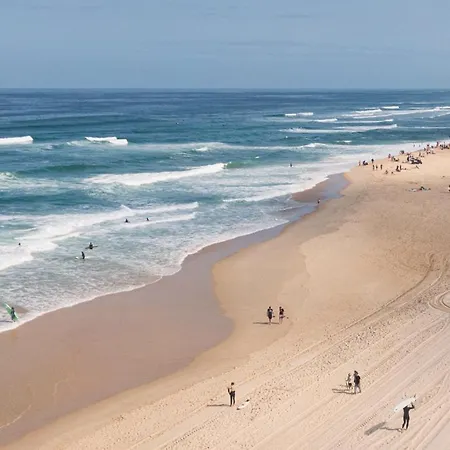 Les Chenes Lieges Grande Avec Piscine וילה מולייטס-אה-מא