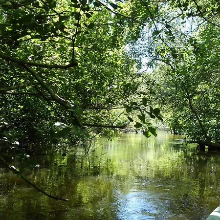 Les Chênes Lièges Grande Avec Piscine Moliets-et-Maa