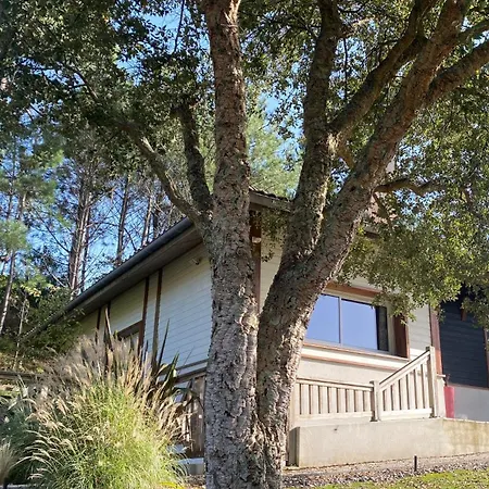 Les Chênes Lièges Grande Avec Piscine Villa